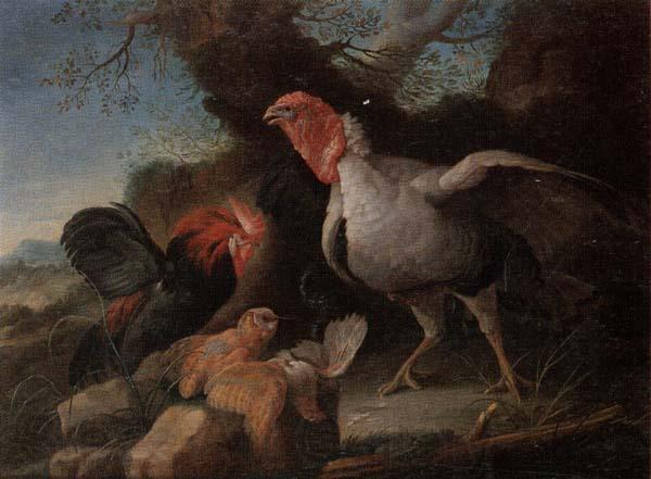 unknow artist Still life of a turkey,a bantan,a barn owl and a grey partridge in a rocky landscape France oil painting art